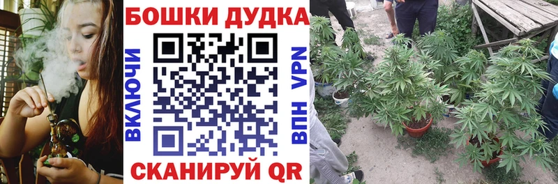 МЕФ Лыткарино
