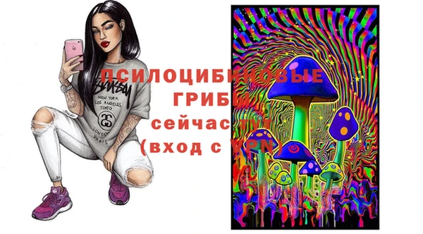 mdpv Бугульма